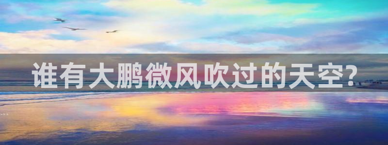 就海角社区：谁有大鹏微风吹过的天空?