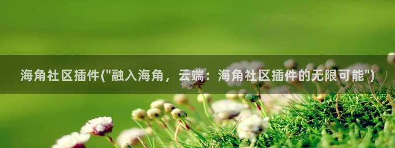 海角社区卫：海角社区插件(\