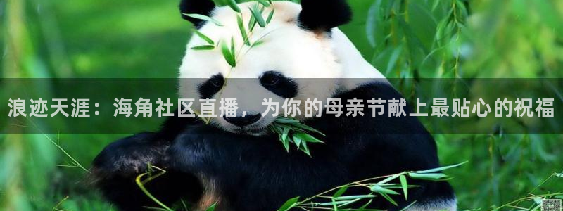 海角社区买钻石：浪迹天涯：海角社区直播，为你的母亲节献上最贴心的祝福