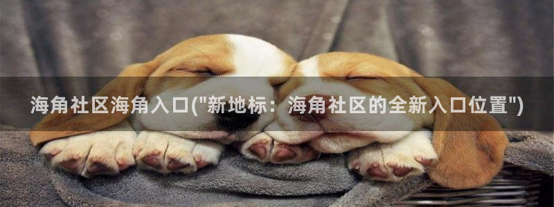 海角社区破解连接：海角社区海角入口(\