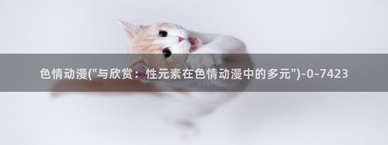 二次元动漫：色情动漫(\