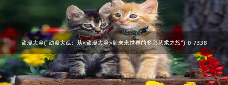 动漫照片