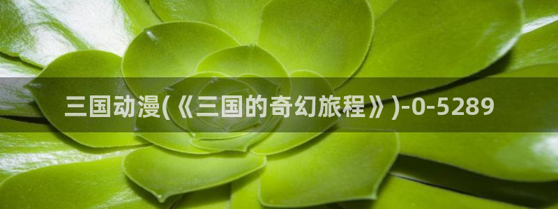 卡通动漫